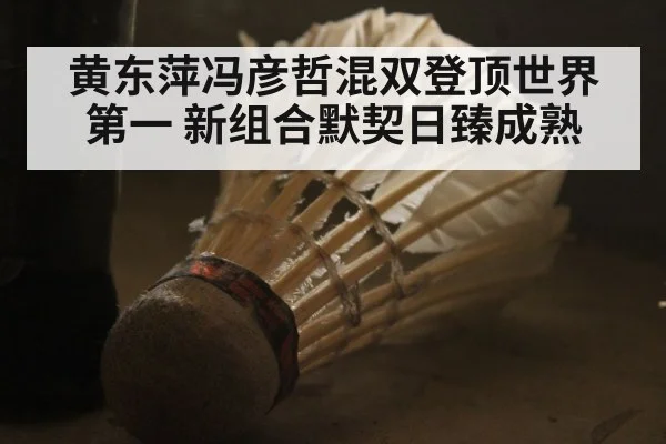 黄东萍冯彦哲混双登顶世界第一 新组合默契日臻成熟